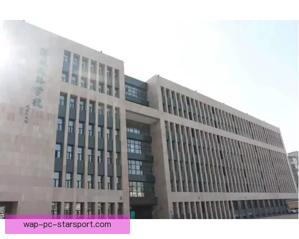 深入解析NBA比赛走势与预测技巧 揭秘数据背后的胜负玄机